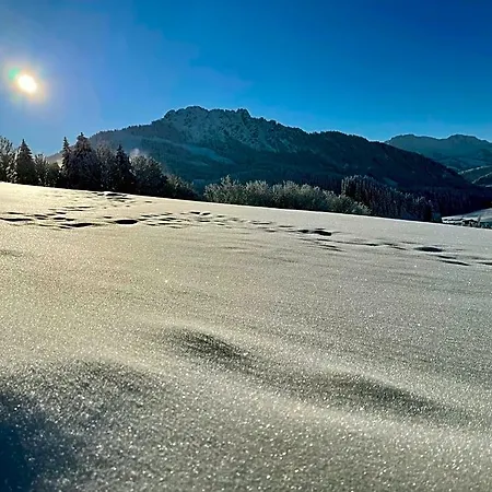 65 *