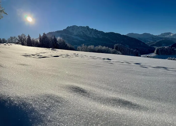 65 Orman Evi Jungholz